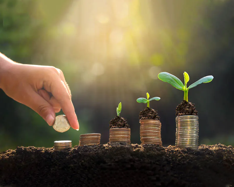 Watchful Association for Relief & Development